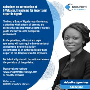 Guidelines of introduction of E-Valuator, E-invoicing for import and export in Nigeria.